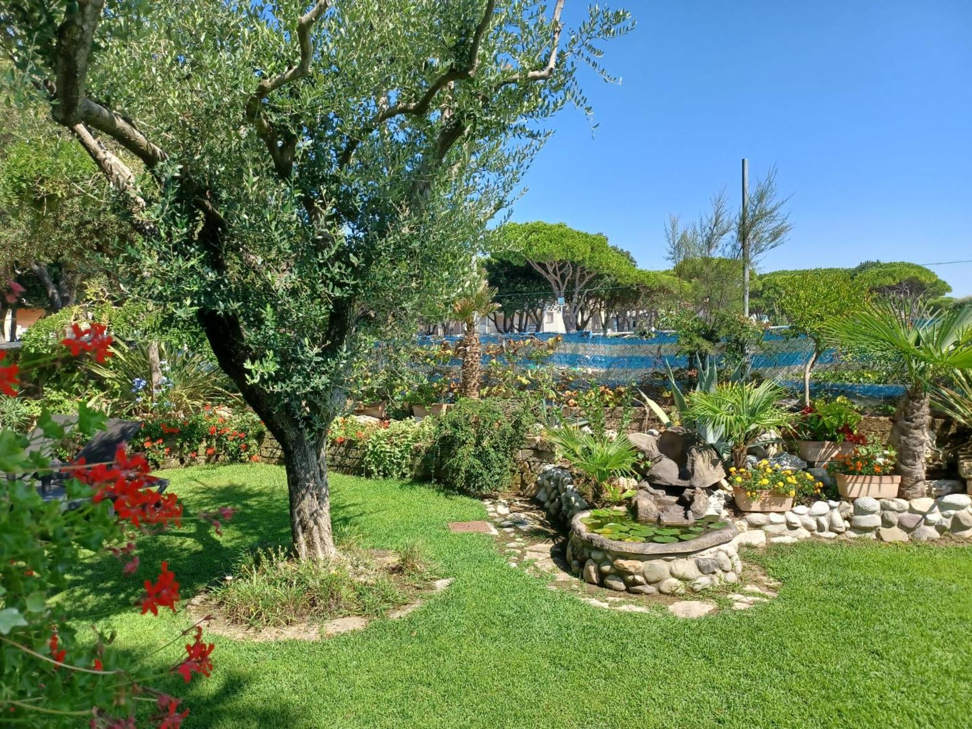 Vina Del Mar Pineta Hotel Lido di Jesolo