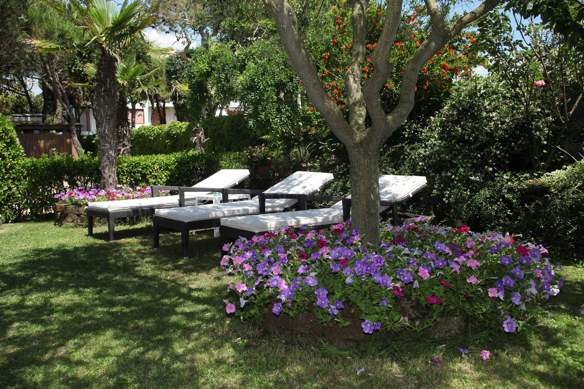 Vina Del Mar Pineta Hotel Lido di Jesolo